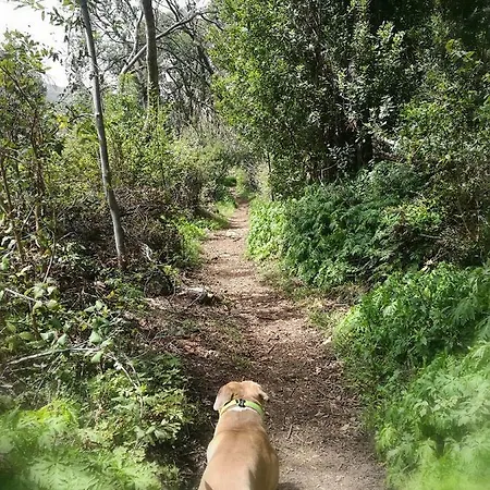 Pequeno Paraiso